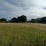  Land for sale in Tepetitla De Lardizabal, Tlaxcala, Tepetitla De Lardizabal