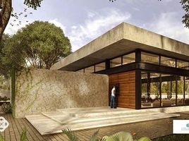  Terreno (Parcela) en venta en Yaxkukul, Yucatán, Yaxkukul