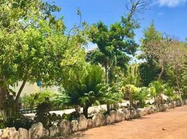 3 Habitación Villa en venta en Puerto Morelos, Quintana Roo, Puerto Morelos
