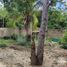 2 Bedroom House for sale in Tinum, Yucatan, Tinum