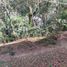  Terreno (Parcela) en venta en Xico, Veracruz, Xico