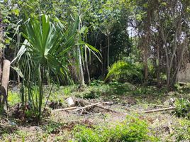  Land for sale in Othon P Blanco, Quintana Roo, Othon P Blanco
