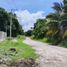  Land for sale in Othon P Blanco, Quintana Roo, Othon P Blanco