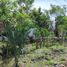  Land for sale in Othon P Blanco, Quintana Roo, Othon P Blanco