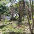 Land for sale in Othon P Blanco, Quintana Roo, Othon P Blanco