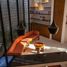 3 Bedroom House for sale in Chichimila, Yucatan, Chichimila