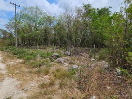  Land for sale in Cancun, Quintana Roo, Cancun