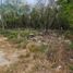  Land for sale in Cancun, Quintana Roo, Cancun