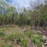  Land for sale in Cancun, Quintana Roo, Cancun