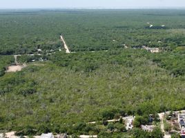  Grundstück zu verkaufen in Cozumel, Quintana Roo, Cozumel