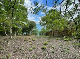  Grundstück zu verkaufen in Othon P Blanco, Quintana Roo, Othon P Blanco