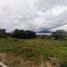  Grundstück zu verkaufen in Jocotepec, Jalisco, Jocotepec