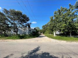  Land for sale in Mococha, Yucatan, Mococha, Yucatan