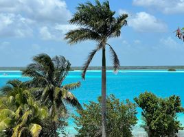  Grundstück zu verkaufen in Othon P Blanco, Quintana Roo, Othon P Blanco