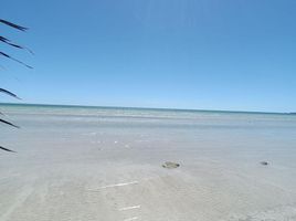  Grundstück zu verkaufen in Othon P Blanco, Quintana Roo, Othon P Blanco