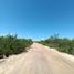  Grundstück zu verkaufen in Othon P Blanco, Quintana Roo, Othon P Blanco