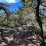  Land for sale in Santa Catarina, San Luis Potosi, Santa Catarina