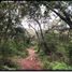  Land for sale in Santa Catarina, San Luis Potosi, Santa Catarina