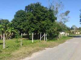  Grundstück zu verkaufen in Othon P Blanco, Quintana Roo, Othon P Blanco