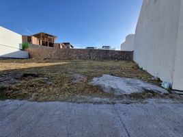  Grundstück zu verkaufen in San Luis Potosi, San Luis Potosi, San Luis Potosi, San Luis Potosi