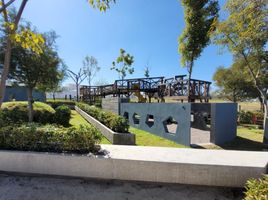  Grundstück zu verkaufen in Mexquitic De Carmona, San Luis Potosi, Mexquitic De Carmona