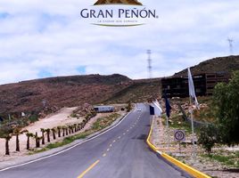  Grundstück zu verkaufen in San Luis Potosi, San Luis Potosi, San Luis Potosi, San Luis Potosi