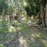  Terreno (Parcela) en venta en Othon P Blanco, Quintana Roo, Othon P Blanco, Quintana Roo