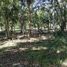  Terreno (Parcela) en venta en Othon P Blanco, Quintana Roo, Othon P Blanco, Quintana Roo