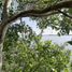  Terreno (Parcela) en venta en Othon P Blanco, Quintana Roo, Othon P Blanco, Quintana Roo