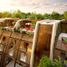 Villa 1 chambre à vendre à Cozumel, Quintana Roo, Cozumel