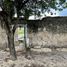 3 Schlafzimmer Villa zu verkaufen in Perote, Veracruz, Perote