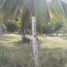 Terrain à vendre à Othon P Blanco, Quintana Roo, Othon P Blanco