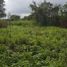  Terreno (Parcela) en venta en Othon P Blanco, Quintana Roo, Othon P Blanco, Quintana Roo