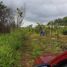  Terreno (Parcela) en venta en Othon P Blanco, Quintana Roo, Othon P Blanco, Quintana Roo