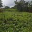  Terreno (Parcela) en venta en Othon P Blanco, Quintana Roo, Othon P Blanco, Quintana Roo
