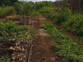  Terreno (Parcela) en venta en Othon P Blanco, Quintana Roo, Othon P Blanco, Quintana Roo