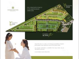 在Aguascalientes出售的 土地, Aguascalientes, Aguascalientes