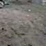  Land for rent in Tlalnelhuayocan, Veracruz, Tlalnelhuayocan
