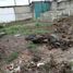  Land for rent in Tlalnelhuayocan, Veracruz, Tlalnelhuayocan