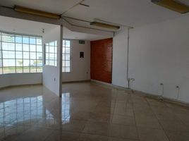 82 平米 Office for rent in Veracruz, Veracruz, Veracruz