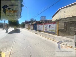 在Oaxaca出租的开间 屋, Del Centro, Oaxaca