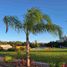 4 Bedroom Villa for rent in Cancun, Quintana Roo, Cancun, Quintana Roo
