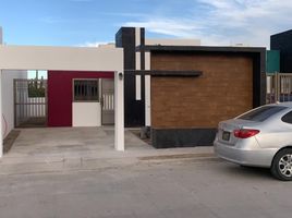 2 chambre Maison for rent in La Paz, Baja California Sur, La Paz