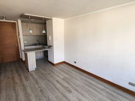 1 Bedroom Apartment for rent in Antofagasta Antofagasta, Antofagasta, Antofagasta, Antofagasta, Chile