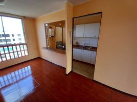 2 Bedroom Apartment for rent in Limache, Quillota, Limache
