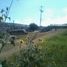 在Aguascalientes出租的 土地, Aguascalientes, Aguascalientes