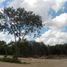  Land for rent in Cancun, Quintana Roo, Cancun