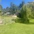 6 Bedroom House for sale in Las Cabras, Cachapoal, Las Cabras