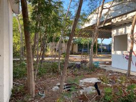 Terreno (Parcela) en alquiler en Cancún, Quintana Roo, Cancún, Quintana Roo
