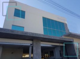84.05 SqM Office for rent in Mexico, Monterrey, Nuevo Leon, Mexico